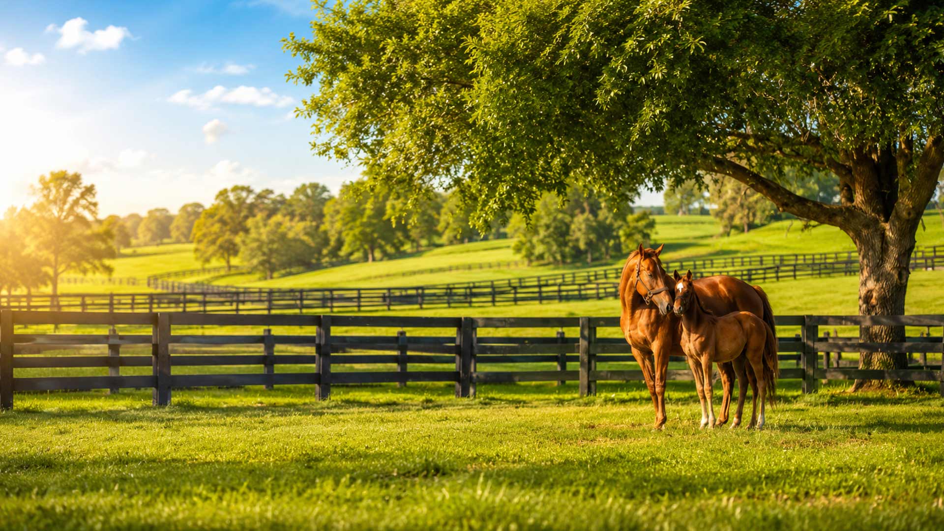Bridlewood